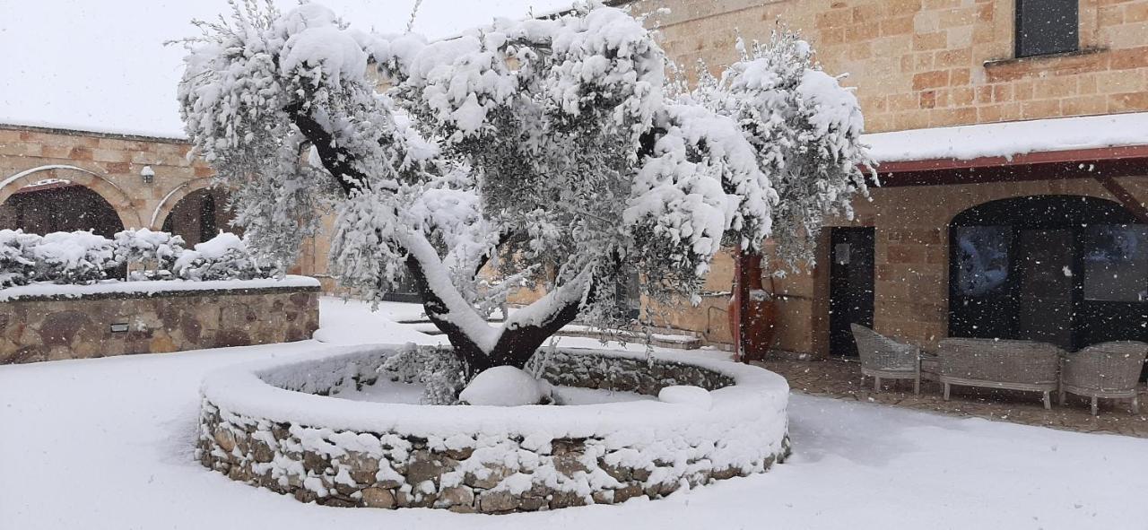 Masseria San Nicola B&B Torre Santa Susanna Dış mekan fotoğraf
