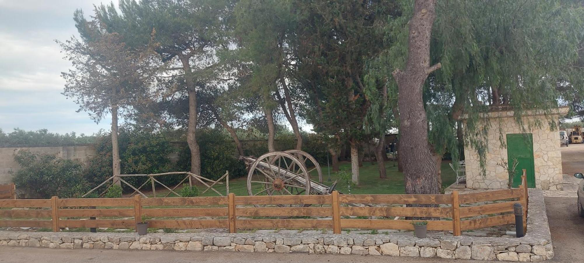 Masseria San Nicola B&B Torre Santa Susanna Dış mekan fotoğraf